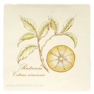 Winchester Orange on Papyrus Decorated Tile 130 x 130 mm W.HP2521