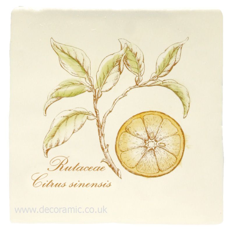 Winchester Orange on Papyrus Decorated Tile 130x130 mm W.HP2521 Winchester Tiles