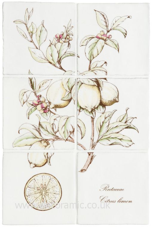 Winchester Lemon 6 tile panel on Papyrus Decorated Tile 260x390 mm W.HP2527 Winchester Tiles