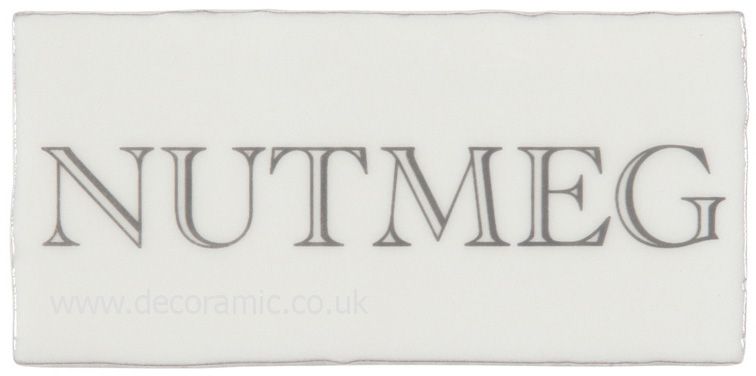 Winchester Nutmeg in Grey on Papyrus Decorated Tile 130x63 mm W.2577 Winchester Tiles