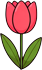 Tulip decoration