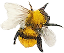 May sale bee decoration