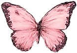May sale butterfly decoration