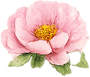 May sale pink flower decoration