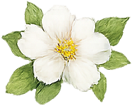 May sale white flower decoration