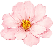 May sale pink flower decoration