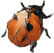 May sale ladybird decoration