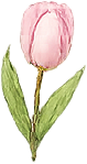 May sale tulip decoration