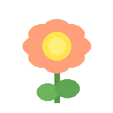 Spring flower decoration