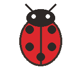 Spring ladybird decoration