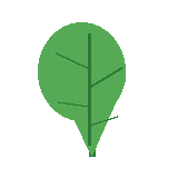 Spring leaf decoration