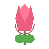 Spring tulip decoration