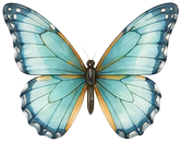 Summer butterfly decoration