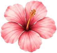 Summer flower decoration