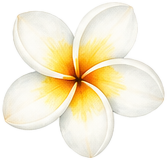 Summer flower decoration
