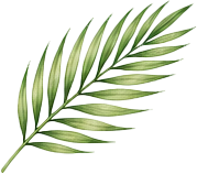 Summer leaf decoration