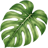 Summer leaf decoration