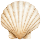 Summer shell decoration