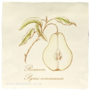 Winchester Pear on Palomino Decorated Tile 130 x 130 mm W.HP2522VPL