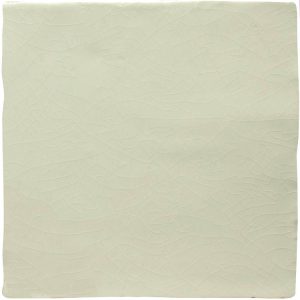 Winchester Residence Arcadian Tern Field Tile 130 x 130mm W.UTE2005